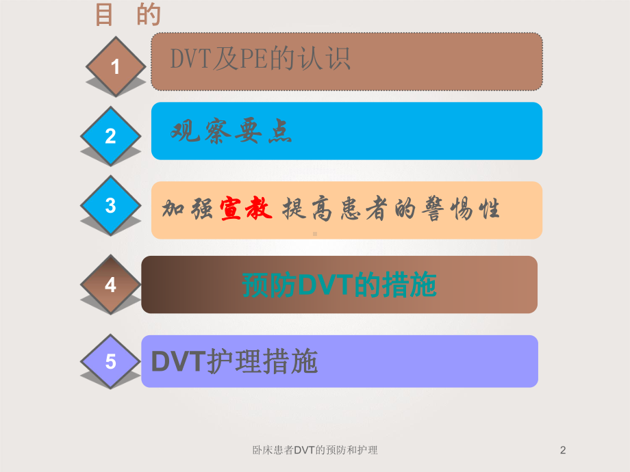 卧床患者DVT的预防和护理培训课件.ppt_第2页