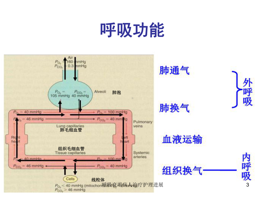 呼吸衰竭病人治疗护理进展课件.ppt_第3页