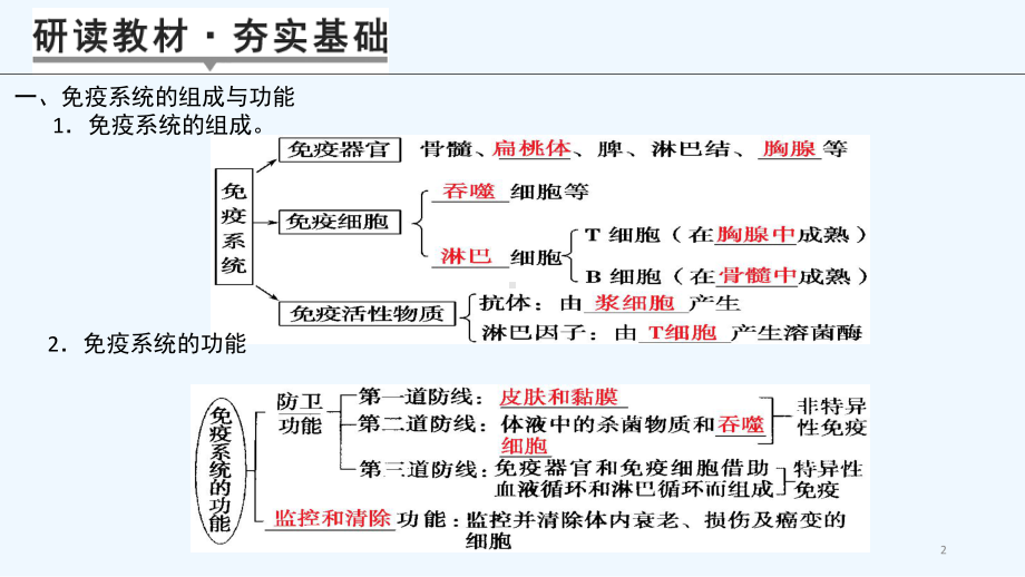 免疫调节一轮知识点课件.pptx_第2页