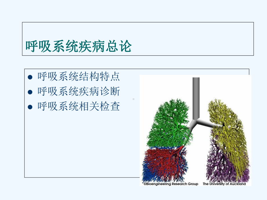 呼吸总论与肺部感染性疾病课件.ppt_第2页