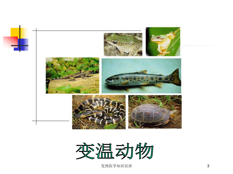 发热医学知识宣讲培训课件.ppt_第3页