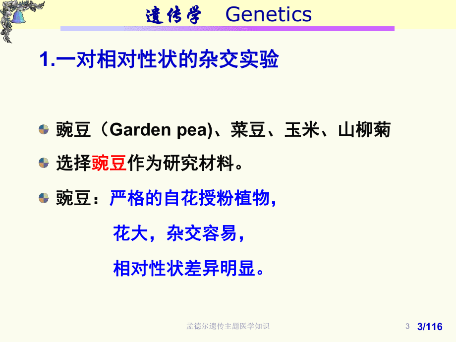 孟德尔遗传主题医学知识培训课件.ppt_第3页