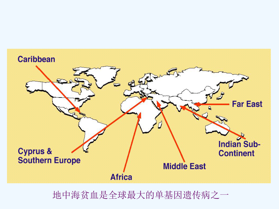 地中海贫血基因检测系统课件.ppt_第2页