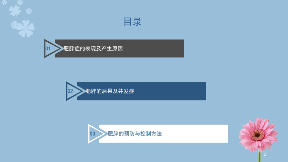 医学课件-肥胖症的预防与控制课件.ppt_第2页