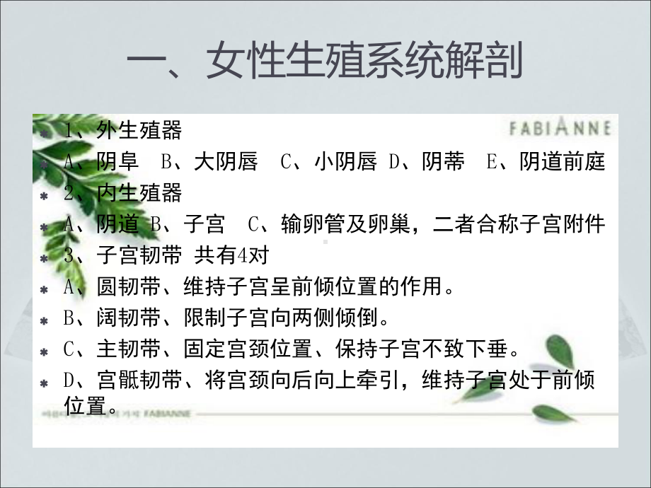 妇科手术配合教材课件.ppt_第3页