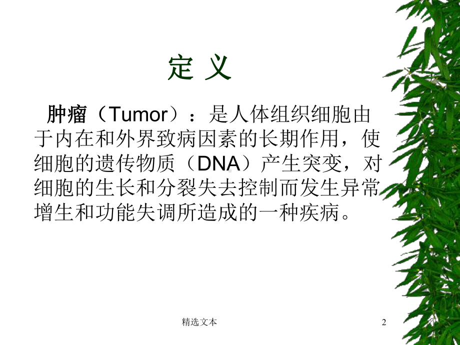 口腔颌面部常见肿瘤76708课件.ppt_第2页