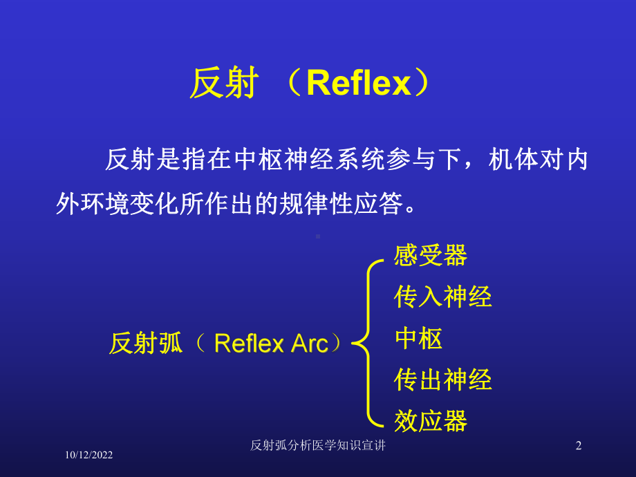 反射弧分析医学知识宣讲课件.ppt_第2页