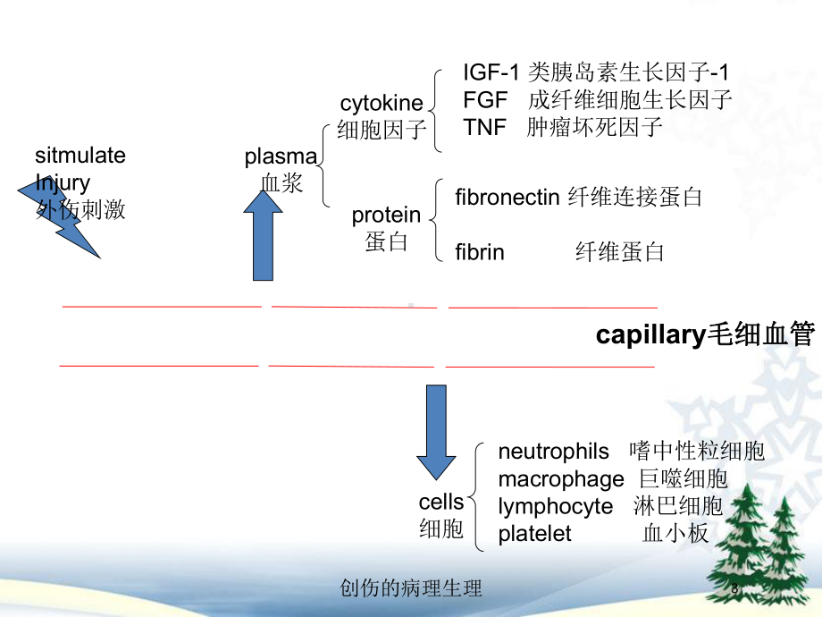 创伤的病理生理培训课件.ppt_第3页