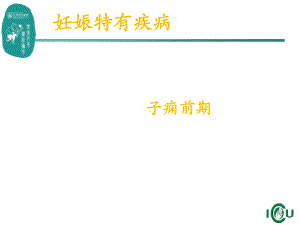 子痫前期治疗及护理讲解学习课件.ppt