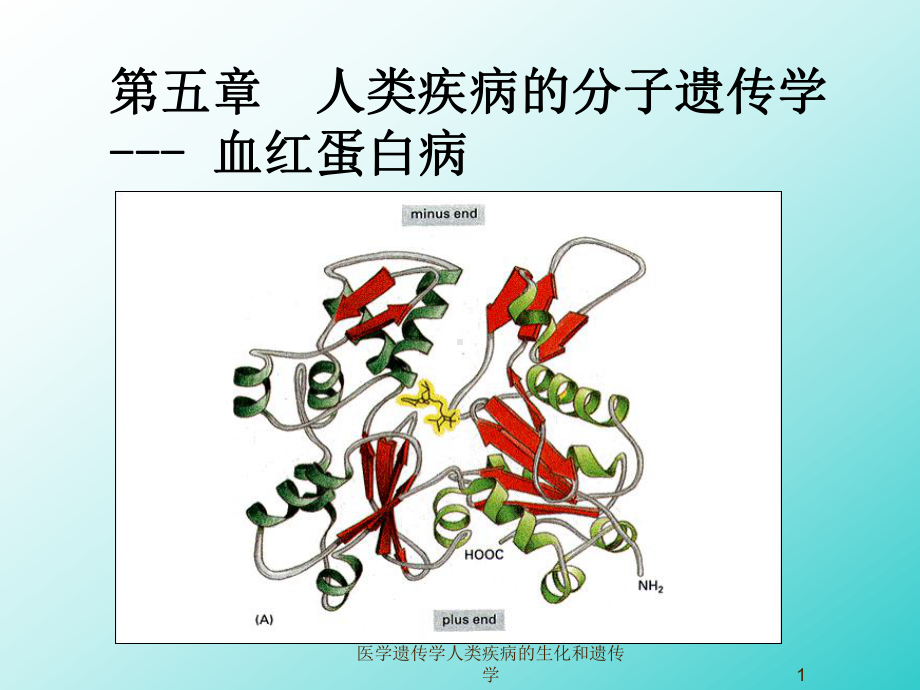 医学遗传学人类疾病的生化和遗传学课件.ppt_第1页