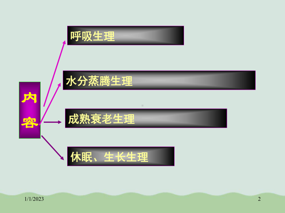 园艺产品采后生理介绍课件.ppt_第2页