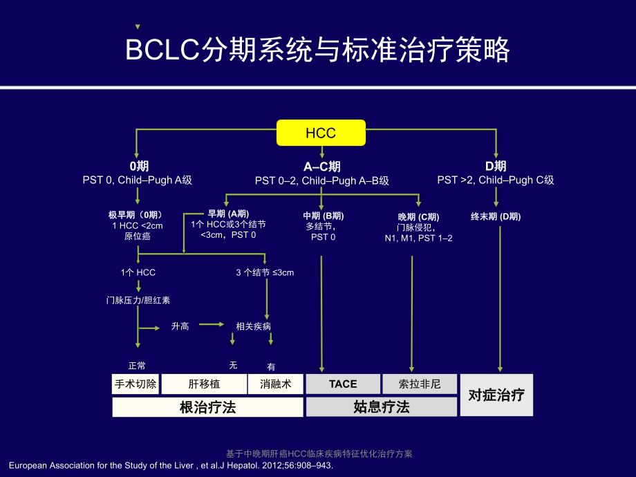 基于中晚期肝癌HCC临床疾病特征优化治疗方案.pptx_第3页