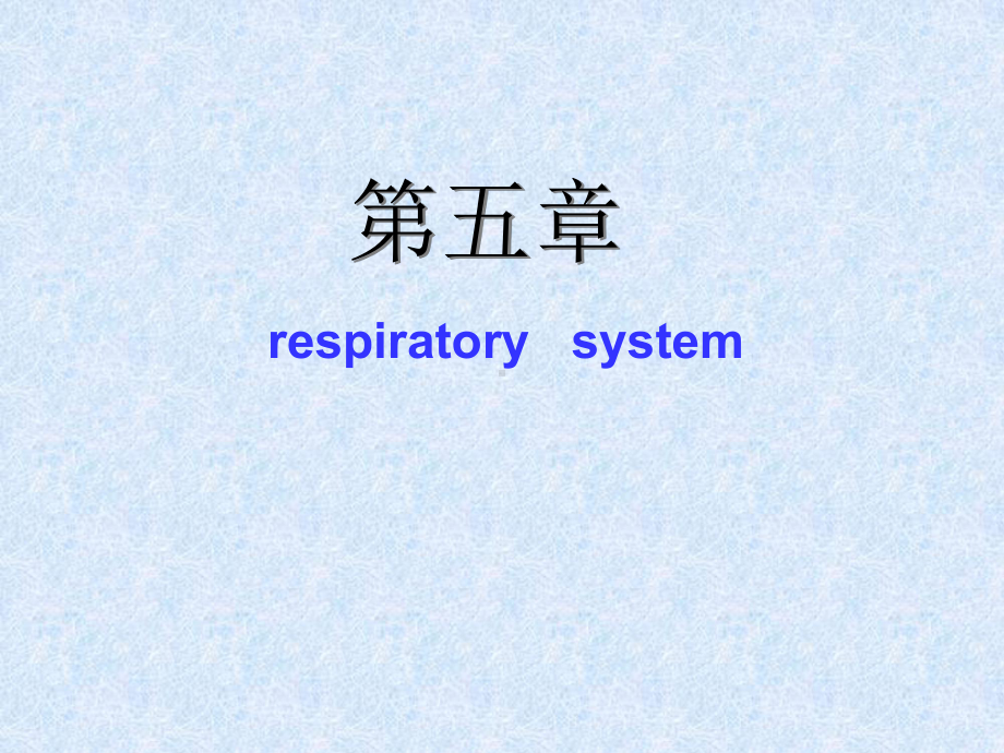 人体解剖学之呼吸系统课件.pptx_第1页