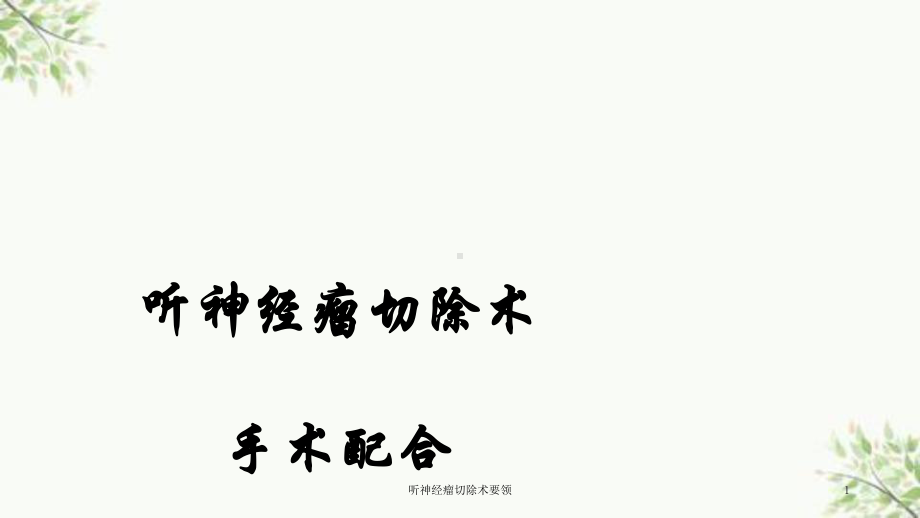 听神经瘤切除术要领课件.ppt_第1页