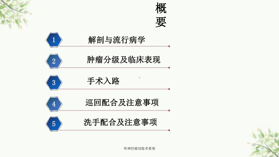 听神经瘤切除术要领课件.ppt_第2页