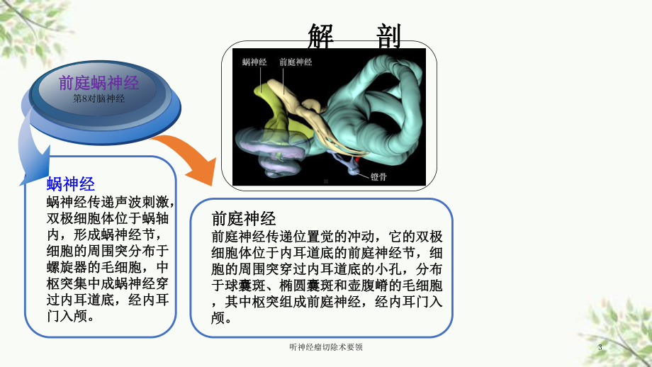 听神经瘤切除术要领课件.ppt_第3页