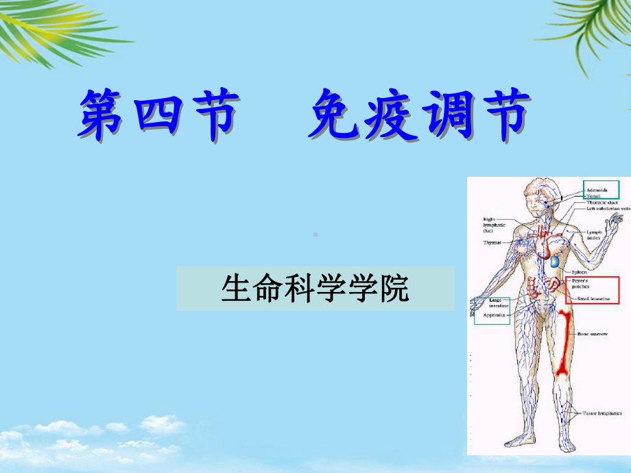 免疫调节试讲全面版课件.ppt_第1页