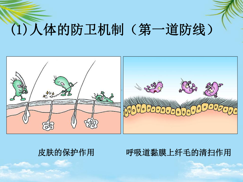 免疫调节试讲全面版课件.ppt_第2页