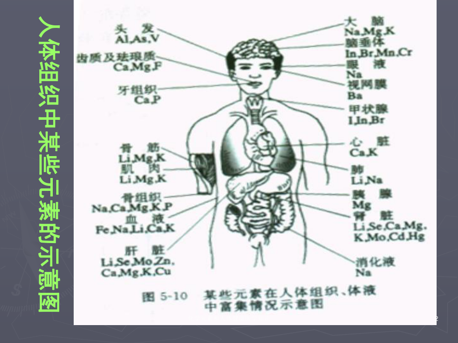 化学元素和人体健康医学知识培训课件.ppt_第2页