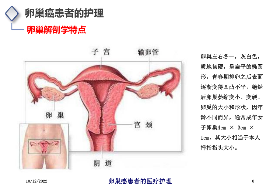 卵巢癌患者的医疗护理课件.ppt_第1页