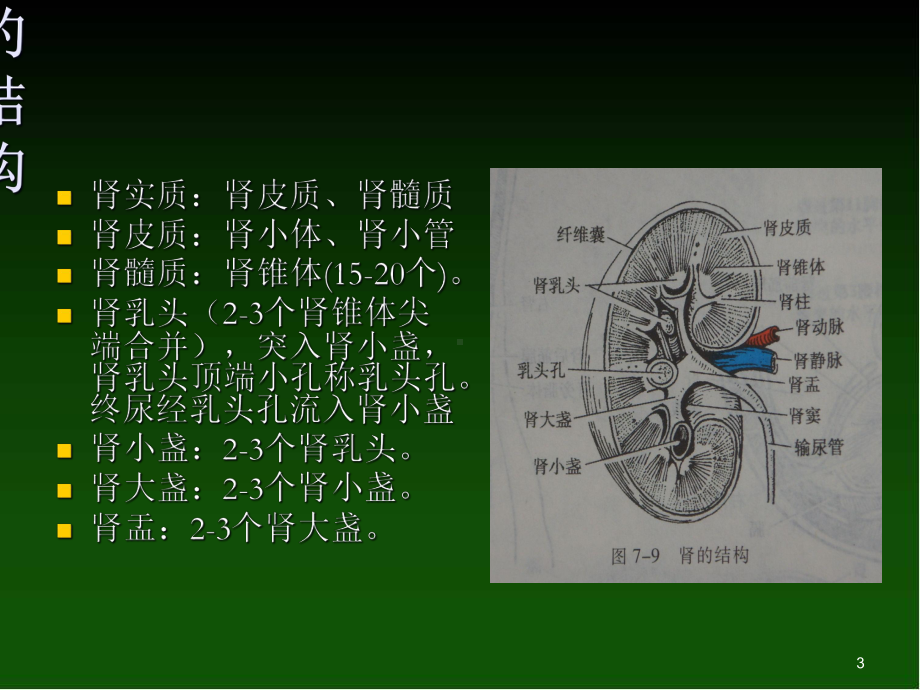 医学课件-髓质海绵肾影像表现课件.ppt_第3页