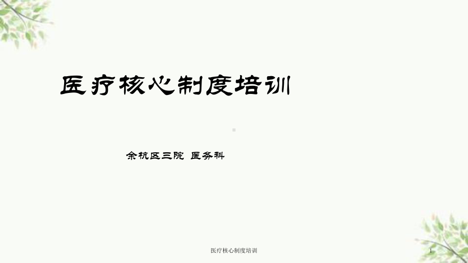 医疗核心制度培训课件.ppt_第1页