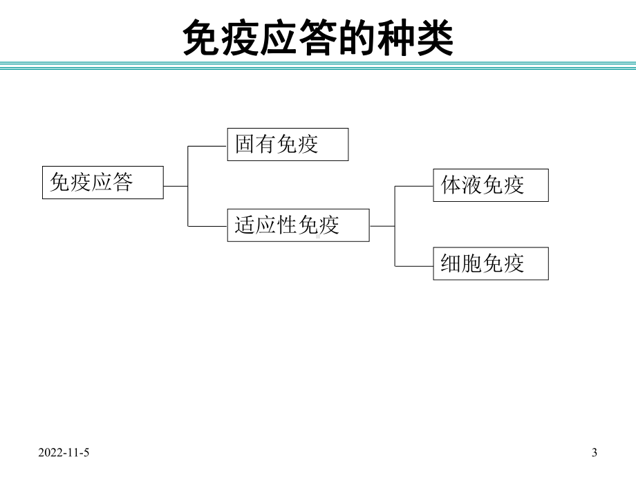 免疫学B细胞培训课件-2.ppt_第3页