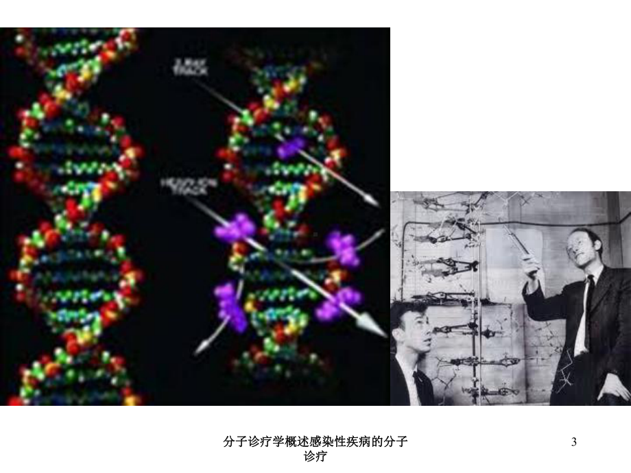 分子诊疗学概述感染性疾病的分子诊疗培训课件.ppt_第3页