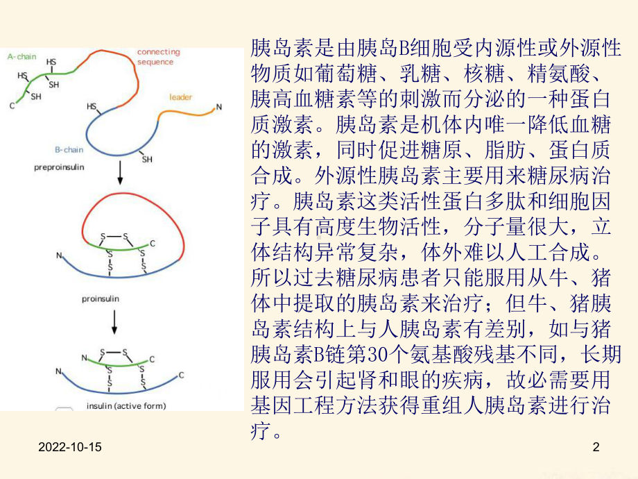 医学基因工程制胰岛素培训课件.ppt_第2页