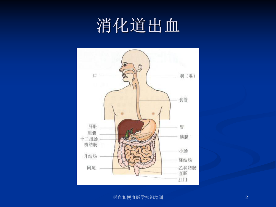 呕血和便血医学知识培训培训课件.ppt_第2页