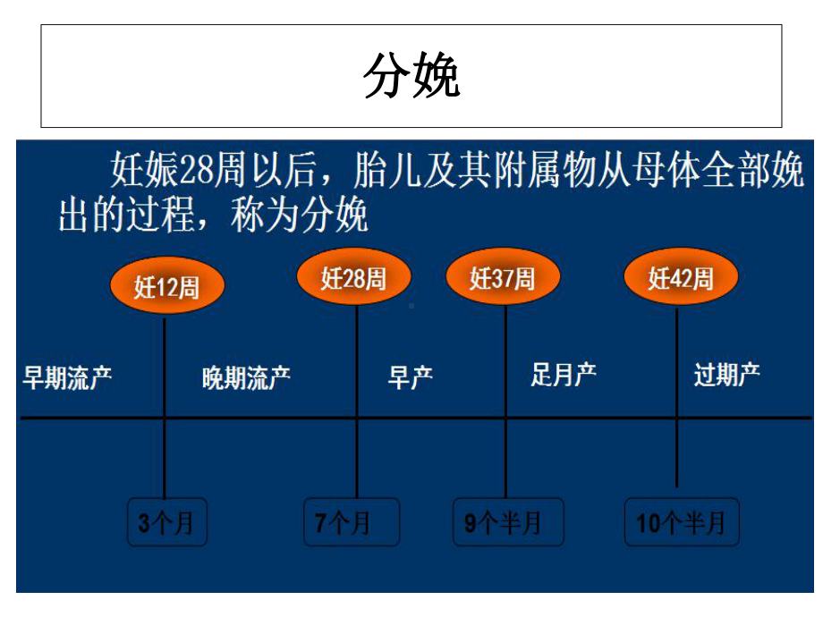 妇产科护理学第三章节课件.ppt_第3页