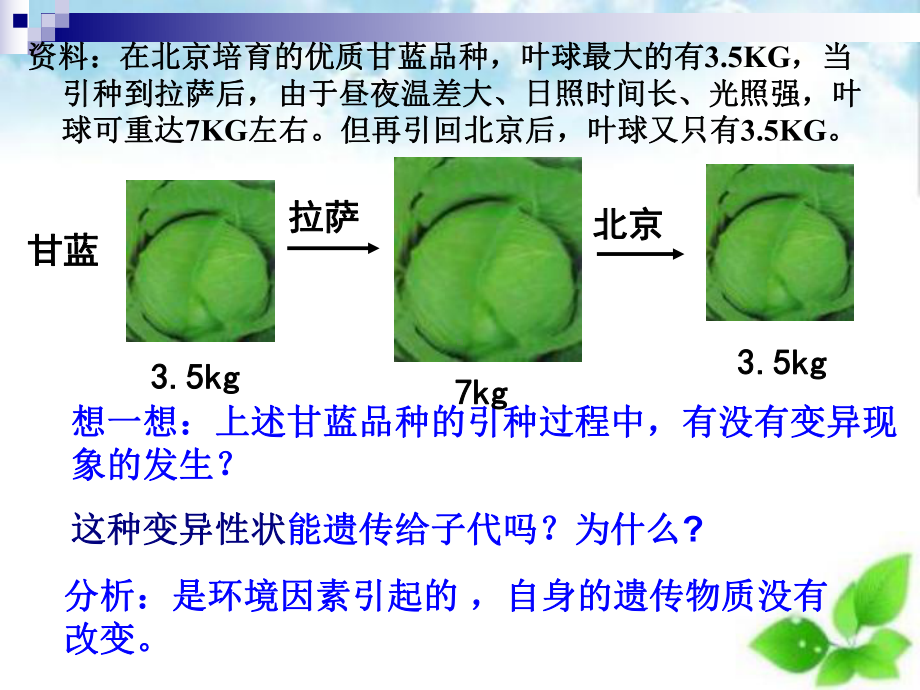 基因突变和基因重组课件3.ppt_第2页