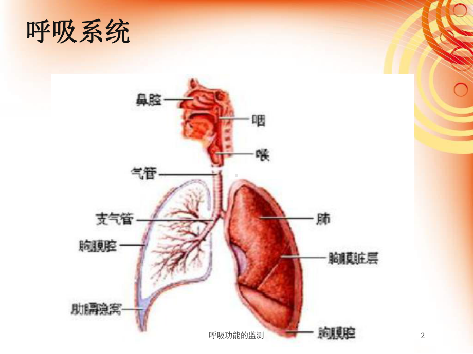 呼吸功能的监测培训课件.ppt_第2页