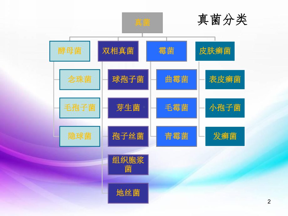 医学课件-肺真菌病的影像诊断课件.ppt_第2页