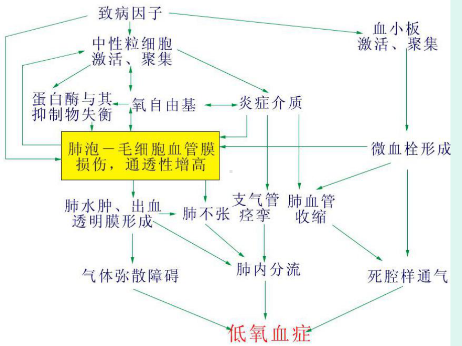 外科呼吸衰竭医学课件.ppt_第3页