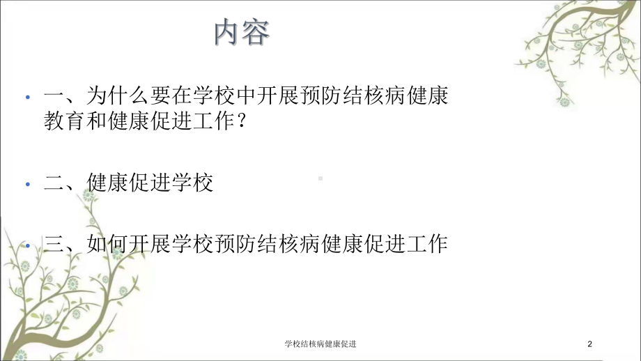 学校结核病健康促进课件.ppt_第2页