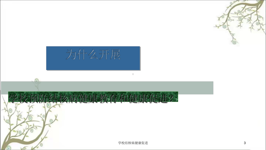 学校结核病健康促进课件.ppt_第3页