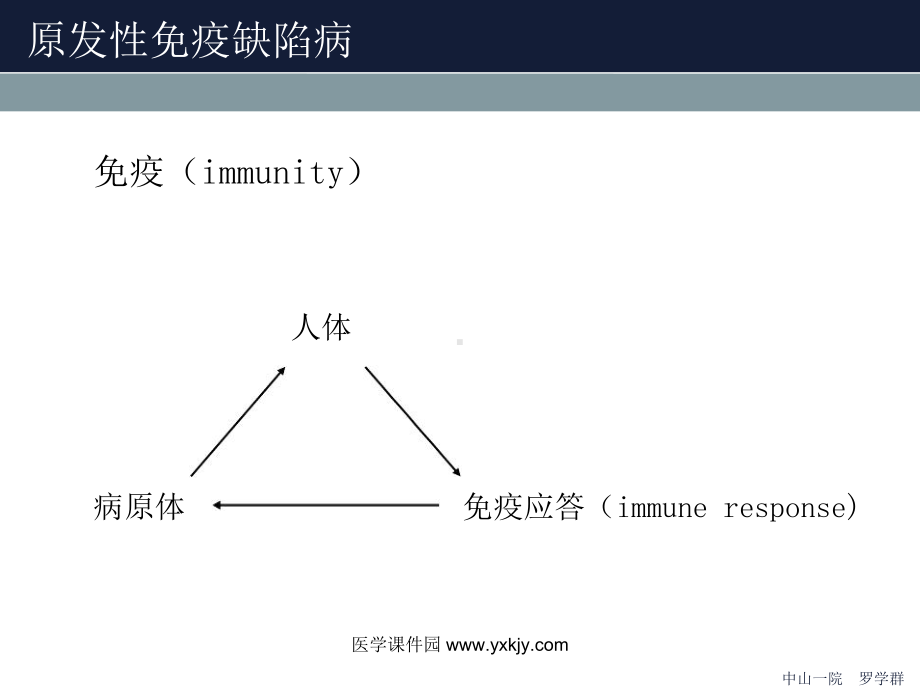 医学课件-儿科学原发性免疫缺陷病教学课件.ppt_第2页