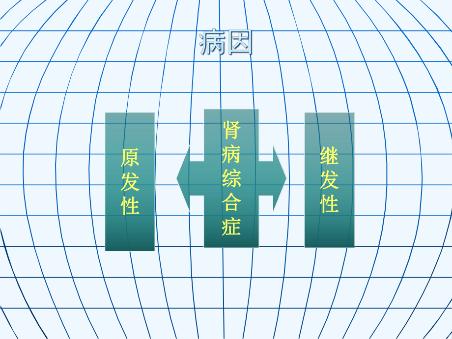 大查房肾病综合征课件.ppt_第3页