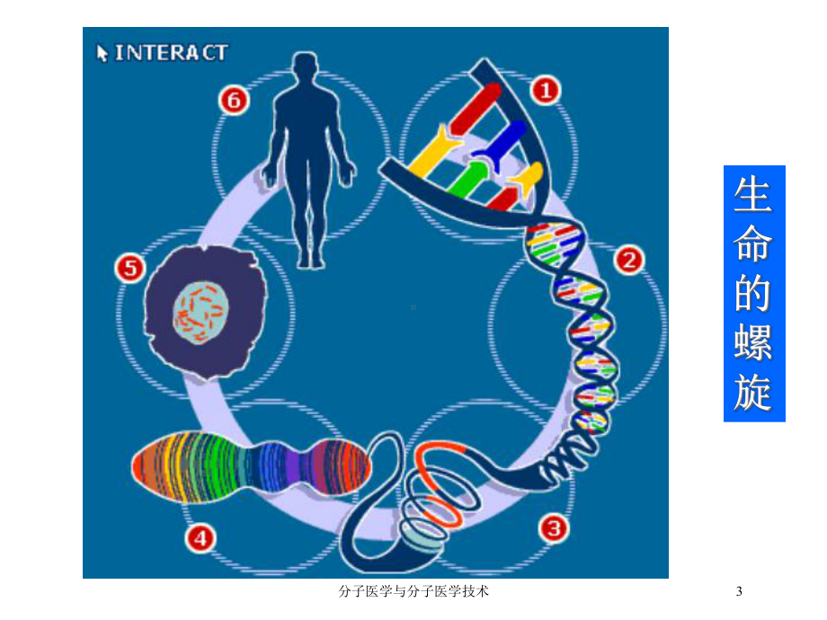 分子医学与分子医学技术培训课件.ppt_第3页