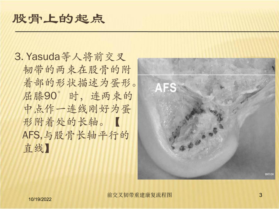 前交叉韧带重建康复流程图培训课件.ppt_第3页