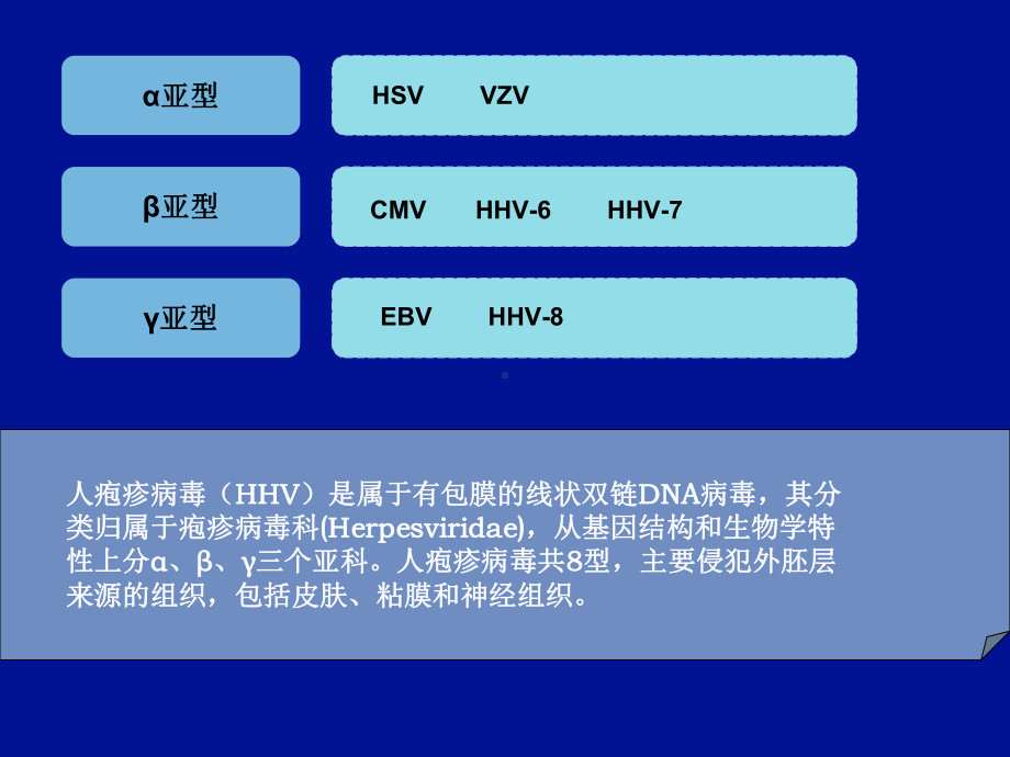 人疱疹病毒检测的临床课件.ppt_第2页