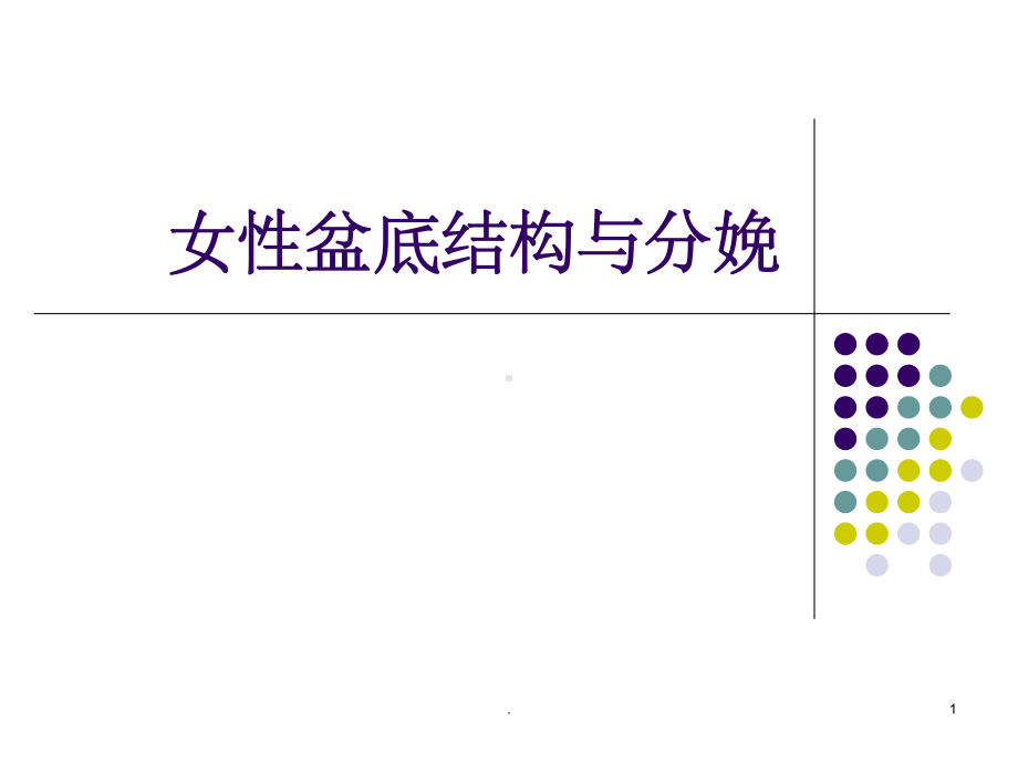 女性盆底结构与分娩课件.ppt_第1页