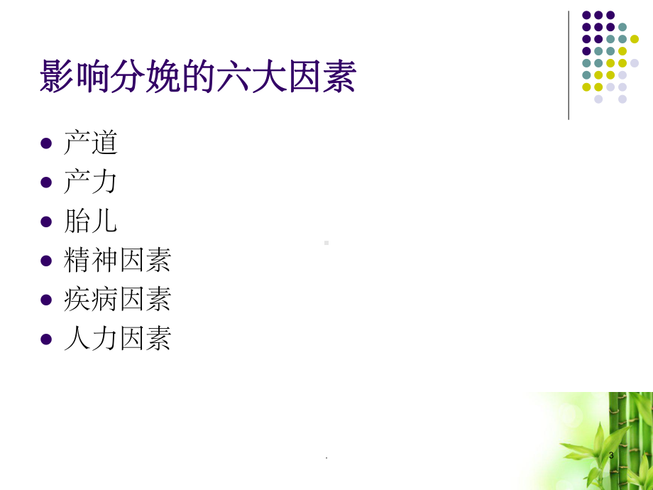 女性盆底结构与分娩课件.ppt_第3页