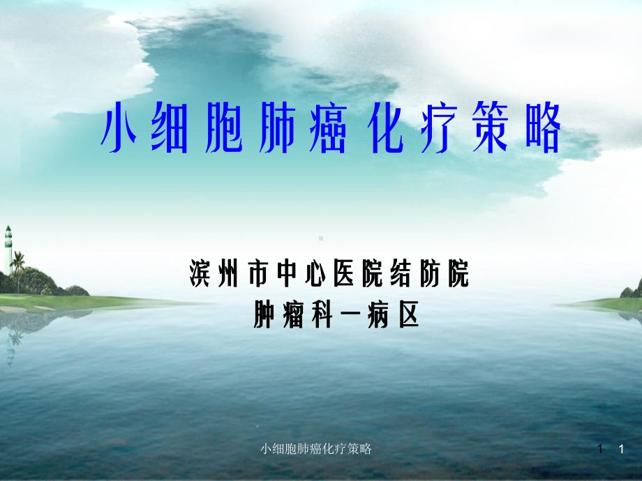 小细胞肺癌化疗策略课件.ppt_第1页