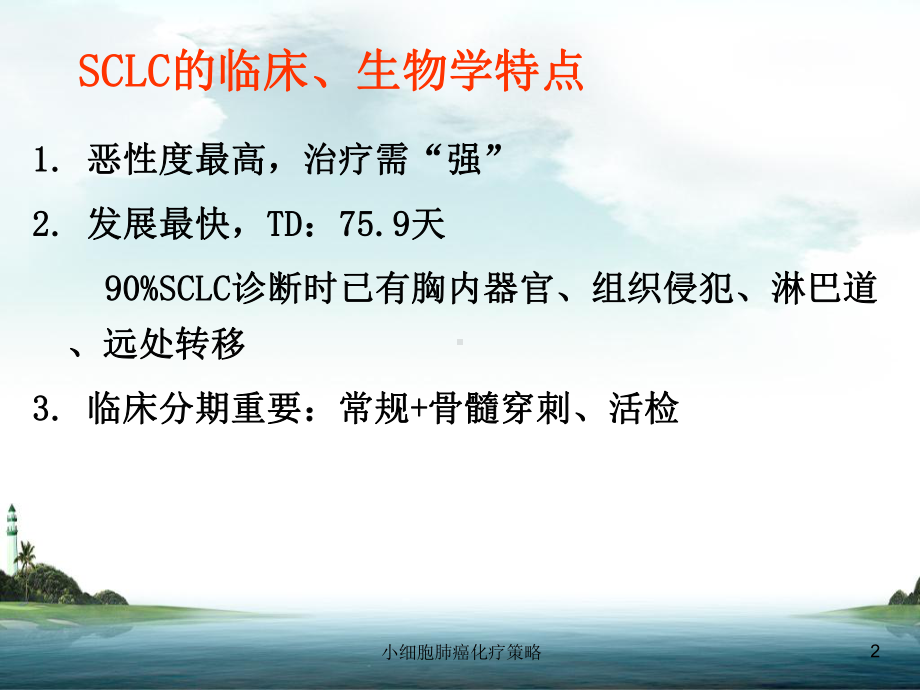 小细胞肺癌化疗策略课件.ppt_第2页