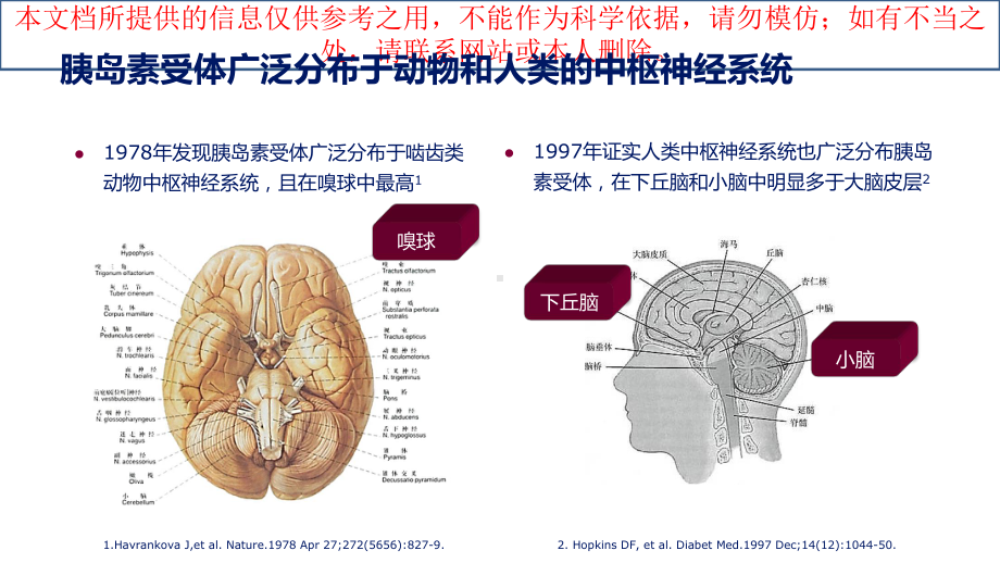 二型糖尿病的隐形杀手内脏脂肪培训课件.ppt_第3页