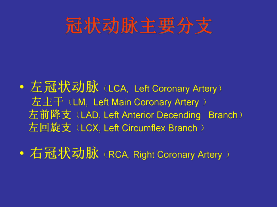 冠状动脉解剖与介入培训讲学课件.ppt_第3页