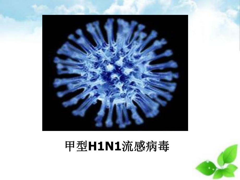 免疫调节课件37.ppt_第2页