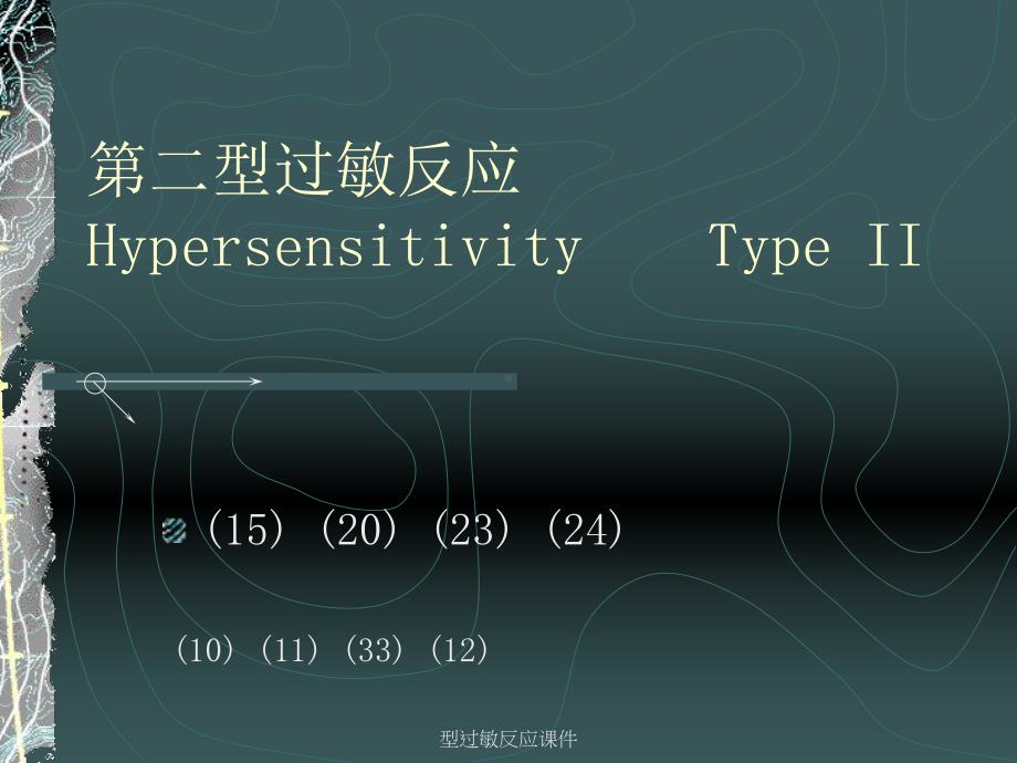 型过敏反应课件.ppt_第1页